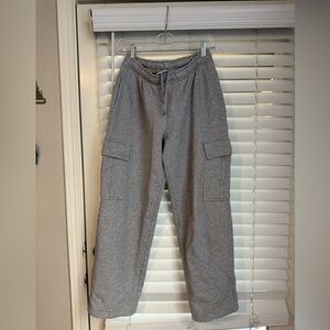 Aritzia Cozy Fleece Sweatpants in Light Gray